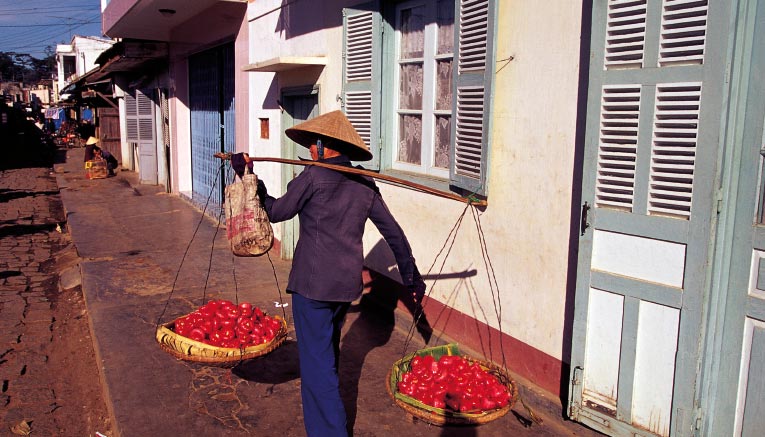 Bvii-vietnam-biking-8